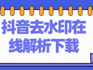 短视频去水印解析网站(复制链接提取视频的软件)