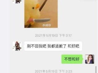王思聪的微信聊天记录(王思聪的微信聊天记录图片)