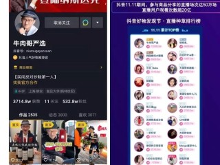 抖音在线观看平台官网(抖音在线观看平台官网下载)