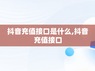 抖音充值接口是什么,抖音充值接口