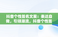 抖音个性签名文案：表达自我，引领潮流，抖音个性签名文案高级感高冷 