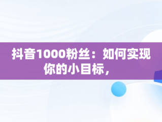 抖音1000粉丝：如何实现你的小目标， 
