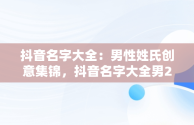 抖音名字大全：男性姓氏创意集锦，抖音名字大全男2020好听 