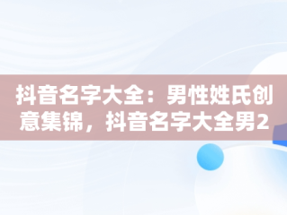 抖音名字大全：男性姓氏创意集锦，抖音名字大全男2020好听 