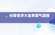 ，抖音名字大全男霸气超拽 