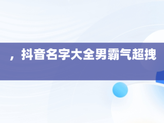 ，抖音名字大全男霸气超拽 