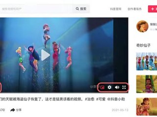 抖音短视频网页版在线观看搞笑视频,抖音短视频网页版在线观看搞笑