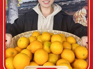 网红大事件女主角,网红大事件免费