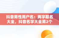 抖音男性用户名：两字取名大全，抖音名字大全男2个字 