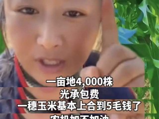 网红辛巴的家乡,网红辛巴玉米