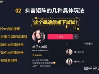 抖音短视频在线观看版官网(抖音短视频在线观看版官网下载)