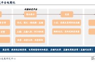 短视频代运营行业报告怎么写,短视频代运营行业报告