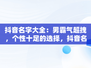 抖音名字大全：男霸气超拽，个性十足的选择，抖音名字大全男霸气超拽2个字的 