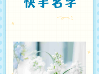 最火快手名带自己名字女,快手网名女带自己名字独一无二