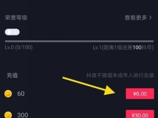 抖音充值平台有哪些,抖音充值平台