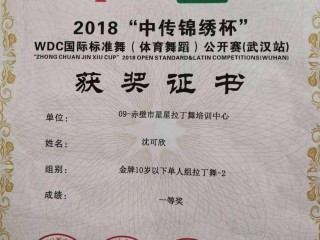 关于抖音官网电脑版在线观看拉丁舞伦巴扇子舞的信息