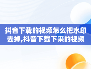 抖音下载的视频怎么把水印去掉,抖音下载下来的视频水印怎么去掉