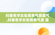 抖音名字女生简单气质霸气,抖音名字女生简单气质 霸气2021