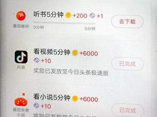 抖音里最好玩的游乐项目,抖音极速版夏日游乐场