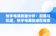 快手电商数据分析：洞察与机遇，快手电商数据在线查询 