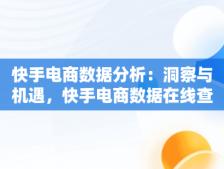 快手电商数据分析：洞察与机遇，快手电商数据在线查询 