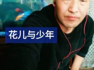 快手1.44胜哥(快手胜哥手怎么没的)