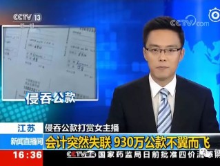 冯提莫会计事件(冯提莫会计事件结局)