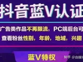 抖音认证蓝v需要什么资料(认证抖音蓝v到底好不好)
