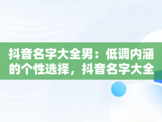 抖音名字大全男：低调内涵的个性选择，抖音名字大全男低调英文 