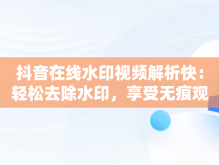 抖音在线水印视频解析快：轻松去除水印，享受无痕观看体验，抖音在线水印视频解析快捷链接 