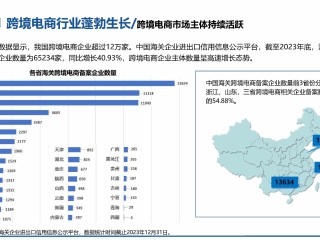 跨境电商平台有哪几种(跨境电商平台分为哪几种)