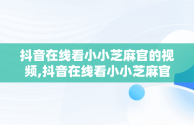 抖音在线看小小芝麻官的视频,抖音在线看小小芝麻官