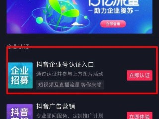 抖音怎么赚钱流程,抖音赚钱的方法教程