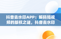 抖音去水印APP：解码短视频的版权之谜，抖音去水印App 