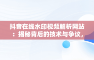 抖音在线水印视频解析网站：揭秘背后的技术与争议，抖音在线视频水印解析工具 