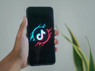 抖音概念股龙头有哪些,抖音概念股龙头股