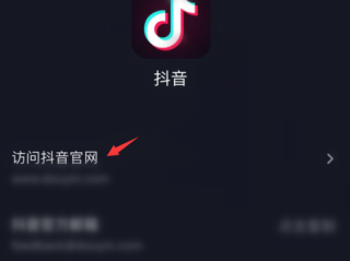 抖音官网在线观看入口电脑,电脑版抖音官网