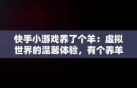 快手小游戏养了个羊：虚拟世界的温馨体验，有个养羊的小游戏 