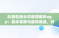 抖音在线水印视频解析app：技术革新与版权挑战，抖音在线水印视频解析免费 