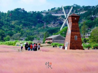 网红图片风景(网红图片大全可爱风景)