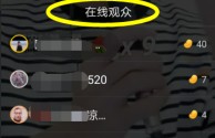 快手在线观看视屏(快手在线观看短视频)