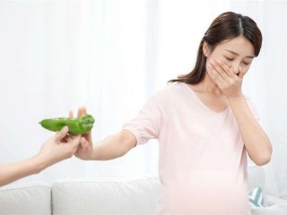 直播孕吐后小糊咖火爆全球,直播孕吐后