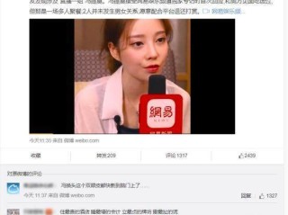 包含冯提莫会计是什么梗的词条