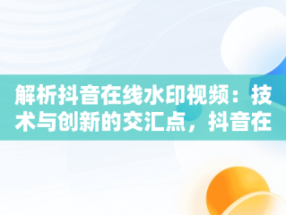 解析抖音在线水印视频：技术与创新的交汇点，抖音在线水印视频解析 代码狗 