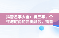 抖音名字大全：男三字，个性与时尚的完美融合，抖音最好的名字大全男生三字 