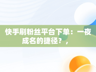 快手刷粉丝平台下单：一夜成名的捷径？， 