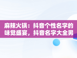 麻辣火锅：抖音个性名字的味觉盛宴，抖音名字大全男麻辣火锅怎么取 