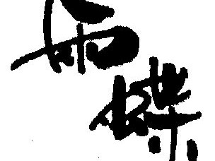 雨蝶直播(雨蝶直播篮球)