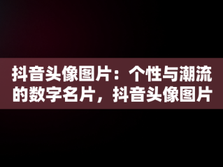 抖音头像图片：个性与潮流的数字名片，抖音头像图片搞笑图片 