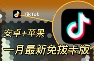 国际版抖音网页版入口(抖音国际版 tiktok网页版)